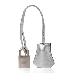 Birkin 25 Bag Metallic Silver Chevre with Brushed Palladium Hardware