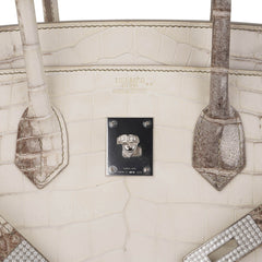 Birkin 35 Diamond Blanc Himalaya Matte Crocodile Limited Edition Bag