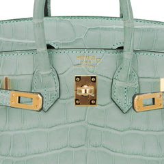 Limited Edition Birkin 20 Sellier Bag Vert D’Eau Matte Alligator with Gold Hardware