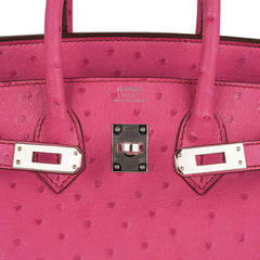 Birkin 25 Bag Fuchsia Ostrich with Palladium Hardware