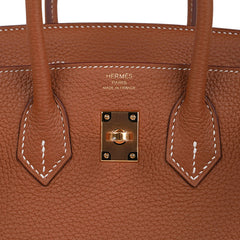 Birkin 25 Bag Gold Togo Leather with Gold Hardware