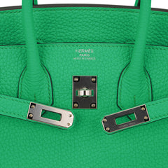 Birkin 25 Bag Vert Comics Togo Leather with Palladium Hardware