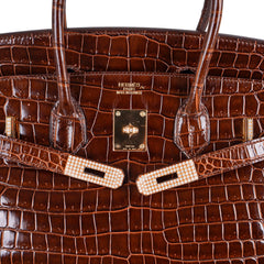 Limited Edition Birkin 35 Bag Diamond Miel Porosus Crocodile with Gold Hardware