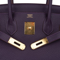 Birkin 30 Bag Raisin Rich Original Colour Gold Hardware Togo Leather