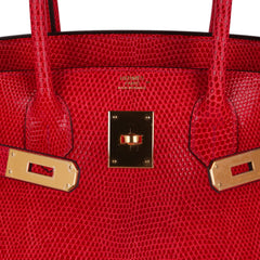 Birkin 30 Bag Rouge Exotique Lizard Limited Edition Gold Hardware Rare