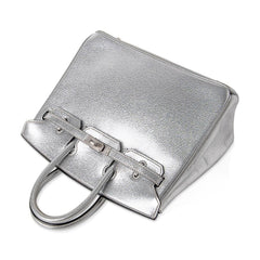 Birkin 25 Bag Metallic Silver Chevre with Brushed Palladium Hardware