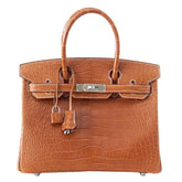 Birkin 30 Bag Fauve Barenia Matte Alligator Very Rare