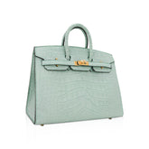 Limited Edition Birkin 20 Sellier Bag Vert D’Eau Matte Alligator with Gold Hardware