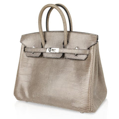 Birkin 25 Bag Gris Agate Lizard Palladium Hardware VERY Rare