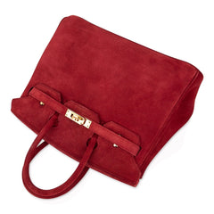 Birkin 25 Doblis Bag Rouge Vif Suede Gold Hardware