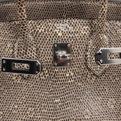 Birkin 25 Bag Ombre Lizard Palladium Hardware Holy Grail Bag