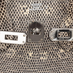Birkin 25 Bag Ombre Lizard Palladium Hardware Holy Grail Bag