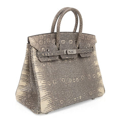 Birkin 25 Bag Ombre Lizard Palladium Hardware Holy Grail Bag