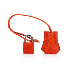 Birkin 25 Bag Orange Tangerine Lizard with Ruthenium Hardware