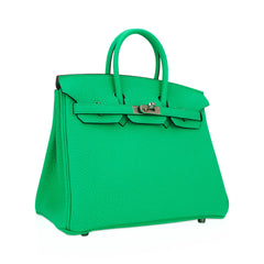 Birkin 25 Bag Vert Comics Togo Leather with Palladium Hardware
