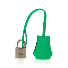 Birkin 25 Bag Vert Comics Togo Leather with Palladium Hardware