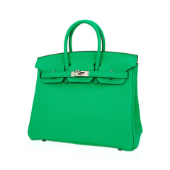 Birkin 25 Bag Vert Comics Togo Leather with Palladium Hardware