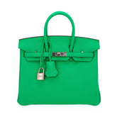 Birkin 25 Bag Vert Comics Togo Leather with Palladium Hardware