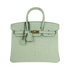 Birkin 25 Bag Vert D’Eau Matte Alligator Gold Hardware Limited Edition