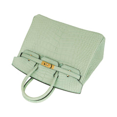 Birkin 25 Bag Vert D’Eau Matte Alligator Gold Hardware Limited Edition