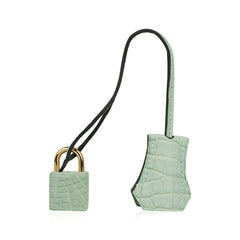 Birkin 25 Bag Vert D’Eau Matte Alligator Gold Hardware Limited Edition