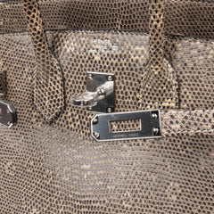 Birkin 25 Bag Ombre Lizard Palladium Hardware Holy Grail Bag