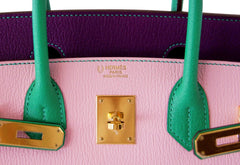 Birkin 30 Bag Tri-Color HSS Rose Sakura Anemone Bamboo Chevre Gold