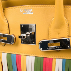 Limited Edition HSS Birkin 30 Bag Soleil Fringe Multi Colour