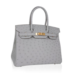 Birkin 30 Bag Gris Perle Ostrich with Gold Hardware