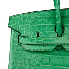 Birkin 35 Bag Matte Alligator Cactus Gold Hardware