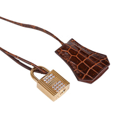 Limited Edition Birkin 35 Bag Diamond Miel Porosus Crocodile with Gold Hardware