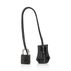Birkin 35 Graphite Porosus Crocodile with Palladium Hardware