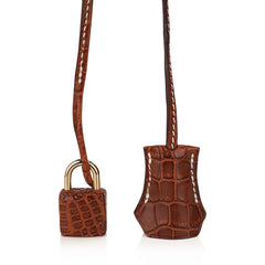Birkin 35 Bag Matte Fauve Porosus Crocodile with Gold Hardware