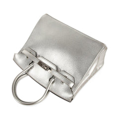 Limited Edition Birkin 30 Bag Silver Metallic Chevre Leather with Palladium Hardware