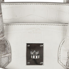 Birkin 35 Himalaya Blanc Crocodile Palladium Hardware
