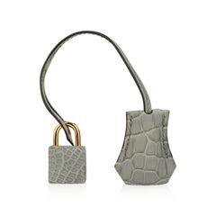 Birkin 25 Bag Gris Ciment Matte Alligator with Gold Hardware
