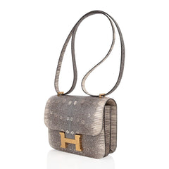 Constance Bag 18 Ombre Lizard Gold Hardware New w/ Box