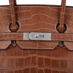 Diamond Birkin 35 Bag Fauve Barenia Matte Alligator Rare