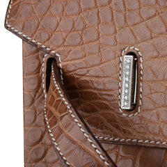 Diamond Birkin 35 Bag Fauve Barenia Matte Alligator Rare