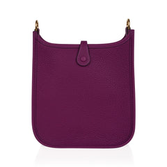 Mini Evelyne III TPM Bag Anemone Maurice Leather with Gold Hardware