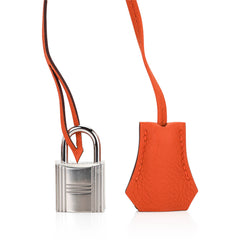 Hac a Dos PM Backpack Feu Togo Leather with Palladium Hardware