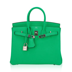Birkin 25 Bag Vert Comics Togo Leather with Palladium Hardware