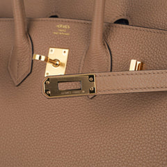 Birkin 25 Bag in Chai Togo Leather with Gold Hardware