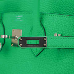 Birkin 25 Bag Vert Comics Togo Leather with Palladium Hardware