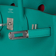 Verso Birkin 25 Bag Vert Verone & Rose Lipstick Novillo Leather with Palladium Hardware