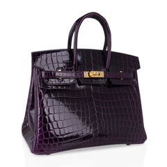 Birkin 25 Bag Aubergine Niloticus Crocodile with Gold Hardware