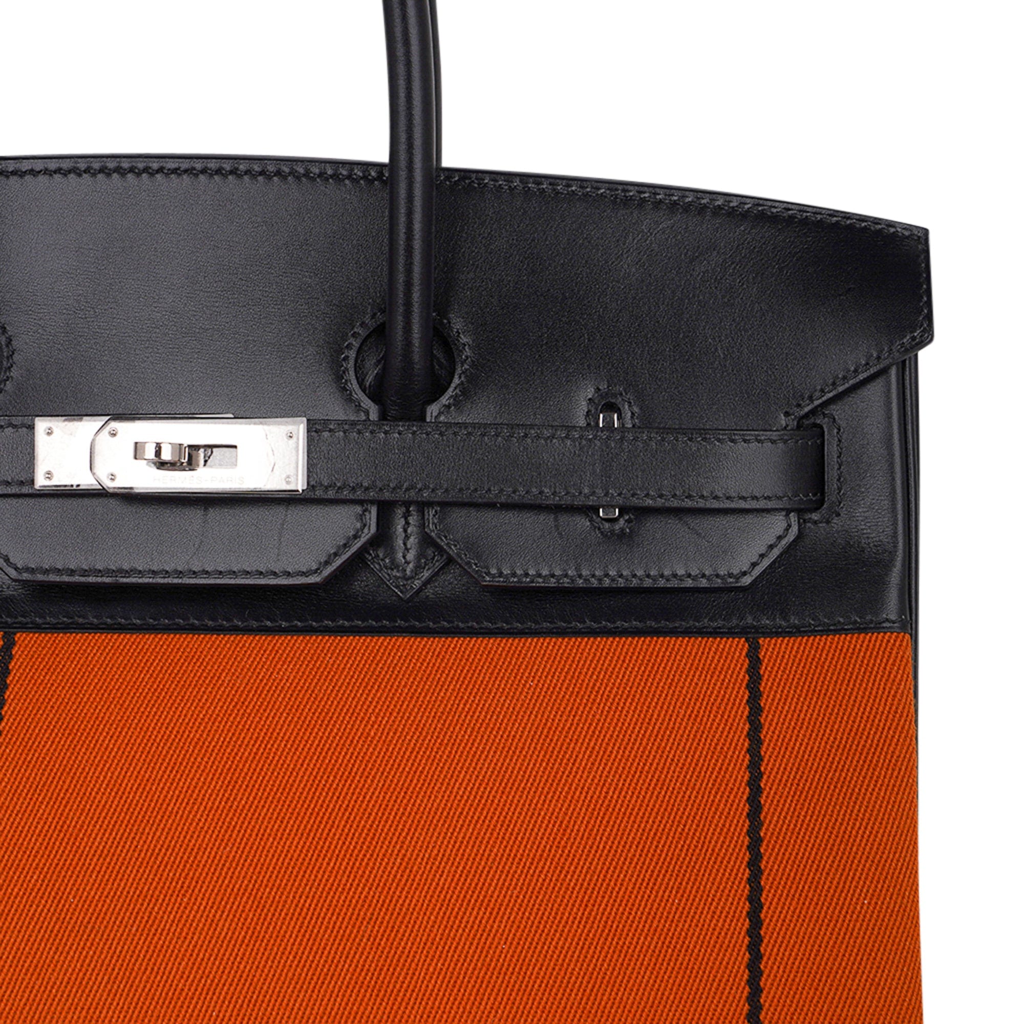 Birkin 35 Bag Potamus Toile / Box Limited Edition Palladium Hardware