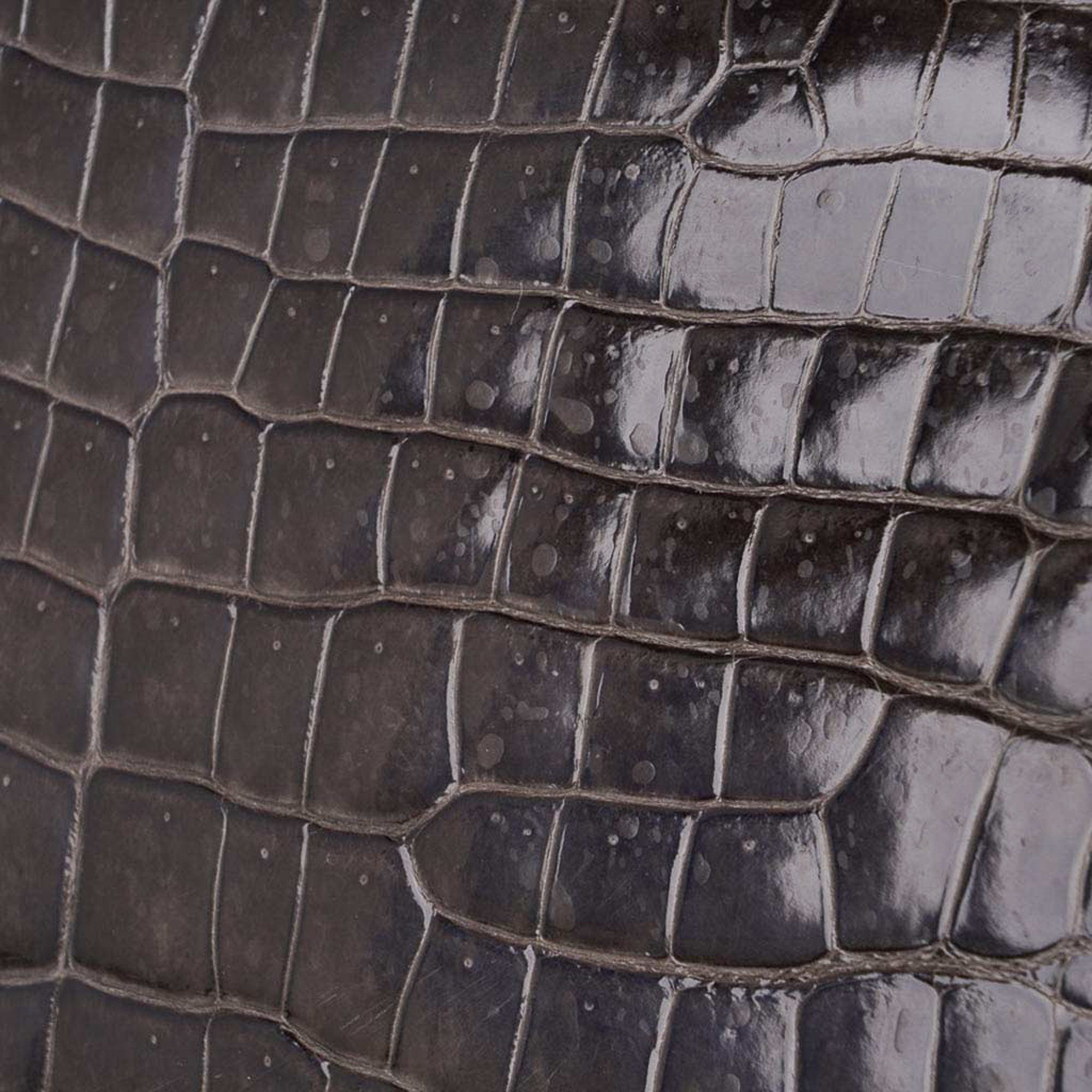 Special Order HSS Birkin 35 Bag Gris Fonce Porosus Crocodile with Palladium Hardware
