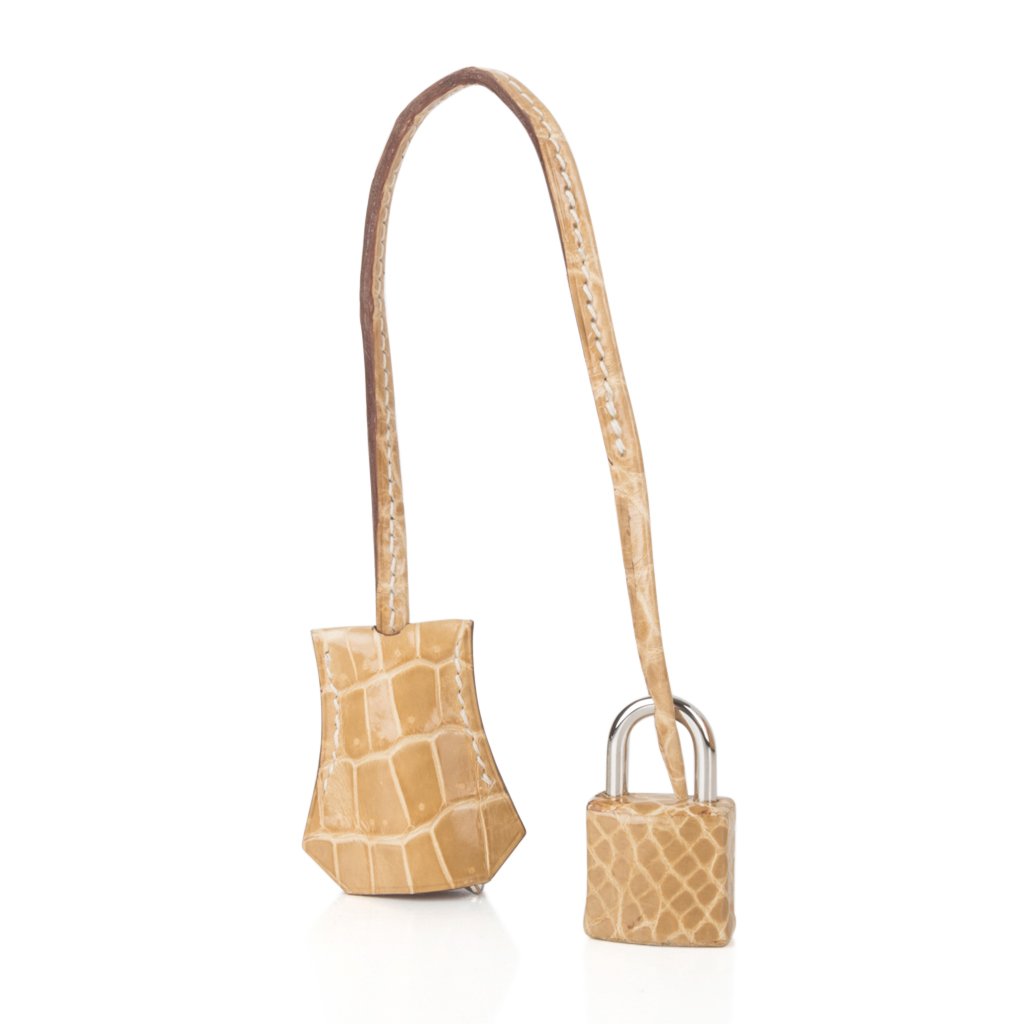 Limited Edition HSS Birkin 35 Bag Poussiere La Rosee Porosus Crocodile with Palladium Hardware