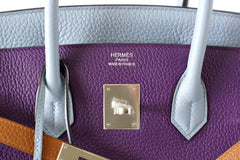 Birkin 35 Bag Arlequin Limited Edition Clemence Palladium